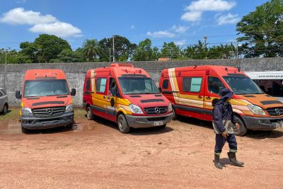 notícia: Governo do Pará realiza 2° leilão público da frota de veículos da administração pública