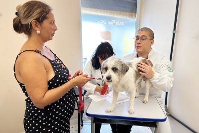 notícia: Usina da Paz Juruna/Condor oferece atendimento veterinário gratuito