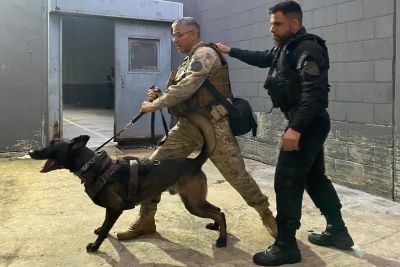 notícia: Cães do NOC têm papel de destaque nas ações do Complexo Penitenciário de Santa Izabel