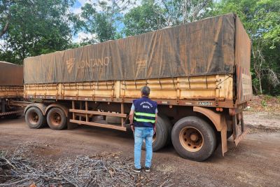 notícia: Sefa apreende mais de 112 mil cervejas em lata e 37 toneladas de concentrado de cobre