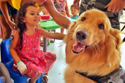 notícia: Terapia com animais leva conforto e alegria a crianças internadas no Hospital Abelardo Santos