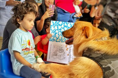 notícia: Terapia com animais leva conforto e alegria a crianças internadas no Hospital Abelardo Santos