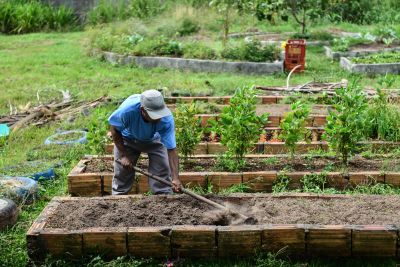 notícia: Qualificação técnica na área agrícola garante a reinserção social e oportunidade de trabalho para internos da Seap