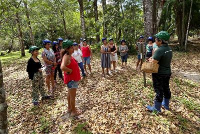 notícia: Pará tem duas empresas de turismo finalistas do Prêmio nacional BRAZTOA de Sustentabilidade 2024