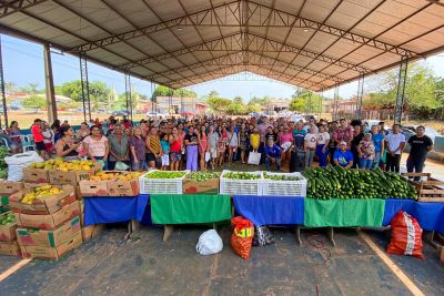 notícia: Emater apoia agricultoras de Mojuí dos Campos na produção de alimentos para famílias 