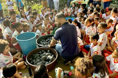 notícia: Ideflor-Bio cria Grupo de Trabalho para estruturar programa de conservação dos quelônios no Pará