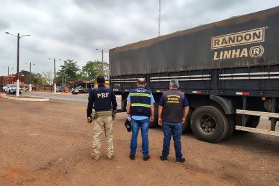 notícia: Sefa apreende 50 toneladas de sementes de soja e mais 250 quilos de camarão no Pará