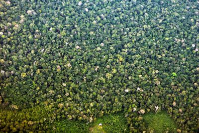 notícia: Plano de Gestão da APA Triunfo do Xingu é aprovado e estabelece diretrizes para a conservação ambiental