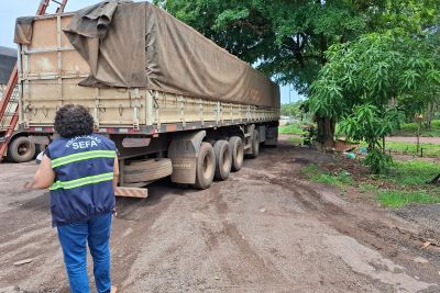 notícia: Sefa apreende telhas, vergalhões, bolsas e kits de internet via satélite no Pará