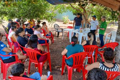 notícia: Emater assiste mulheres rurais de Alenquer em atividades do campo no Baixo Amazonas 