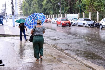 notícia: Vacina contra a gripe reduz risco de casos graves e óbitos