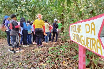 notícia: Crianças aprendem sobre sustentabilidade no Refúgio Metrópole da Amazônia, em Marituba, através do teatro e trilhas