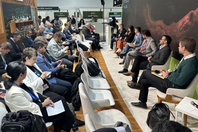 notícia: Semas debate sustentabilidade nos processos de licenciamento ambiental em painel da COP 29