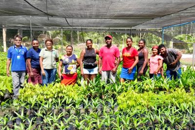 notícia: Investimentos em comunidades quilombolas fortalecem preservação ambiental e segurança alimentar no Pará