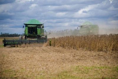 notícia: Pará tem melhor desempenho da Região Norte com exportações do agronegócio