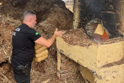 notícia: Polícia Civil incinera 93 quilos de maconha, em Brejo Grande do Araguaia 