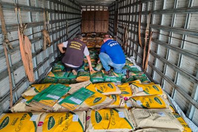 notícia: Sefa apreende 4,8 toneladas de sementes de milho e sorgo em Dom Eliseu