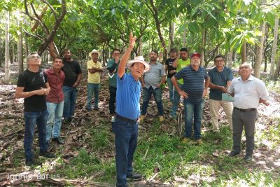 notícia: Ideflor-Bio reúne gestores e produtores rurais em Tomé-Açu para ‘Circuito de Campo em Sistemas Agroflorestais’