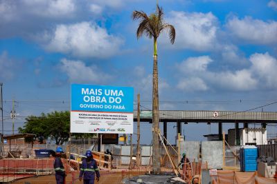 notícia: Governo do Estado realiza transplantes de árvores para áreas de obras da COP 30 em Belém