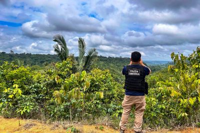 notícia: Operações de combate a crimes ambientais garantem redução do desmatamento no Pará