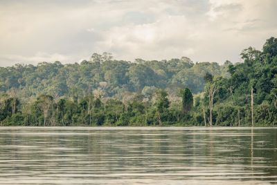 notícia: Unidades de Conservação celebram 18 anos de proteção ambiental e desenvolvimento sustentável