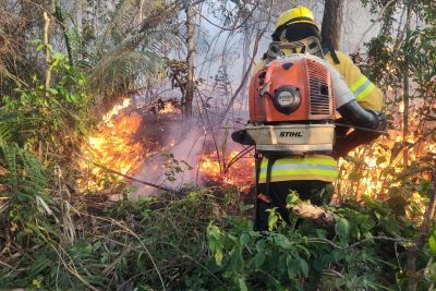 notícia: Força-tarefa do Estado avança no combate a incêndios no Pará 