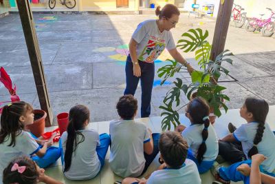 notícia: Estudantes da rede pública estadual criam Projeto 'Teto Verde' para amenizar o clima