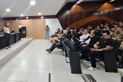 notícia: Segup promove capacitação da campanha Laço Branco para enfrentamento à violência contra a mulher