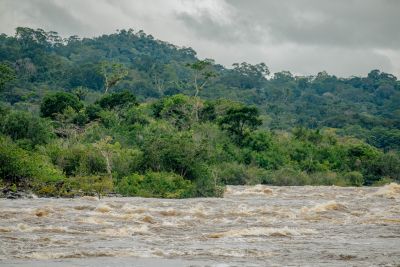 notícia: Governo do Pará publica Plano de Gestão da Floresta Estadual do Iriri e consolida avanços na política ambiental