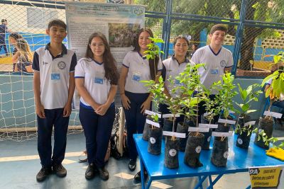 notícia: 'Quintais dos Sabores Sustentáveis' une educação e preservação no oeste do Pará