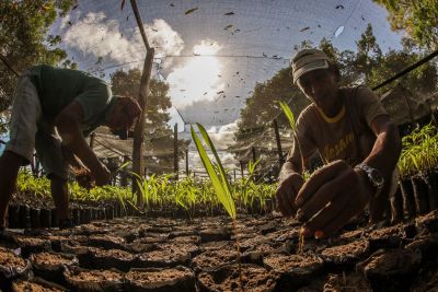 notícia: Ideflor-Bio apresenta políticas públicas florestais à delegação do Banco Mundial