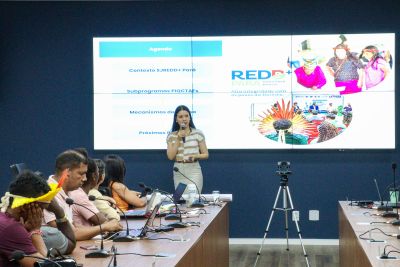 notícia: Câmara Técnica discute repartição de benefícios do Sistema Jurisdicional de Redd+