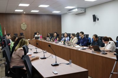 notícia: Semas avança na implementação do projeto Realiza Pará