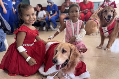 notícia: Intervenção assistida por animais alegra pacientes no Hospital Metropolitano