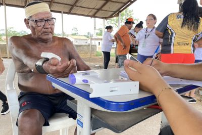 notícia: Sepi encerra 2024 'reflorestando mentes' por todo o Pará