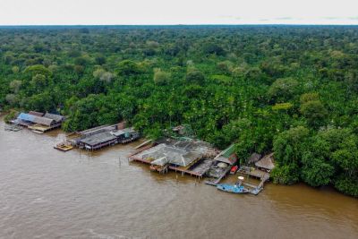 notícia: Pará dobra entrega de Planos de Gestão de Unidades de Conservação em 2024