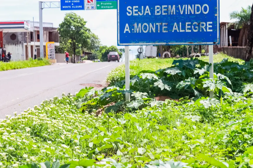  <div class='credito_fotos'>Foto: Bruno Cruz / Agência Pará   |   <a href='/midias/2025/originais/20250125092534-GF00022795-F00371840.webp' download><i class='fa-solid fa-download'></i> Download</a></div>