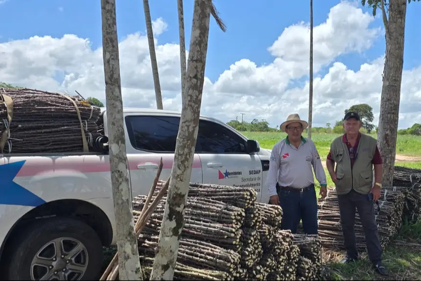 A Sedap fez a entrega esta semana também em Tracuateua