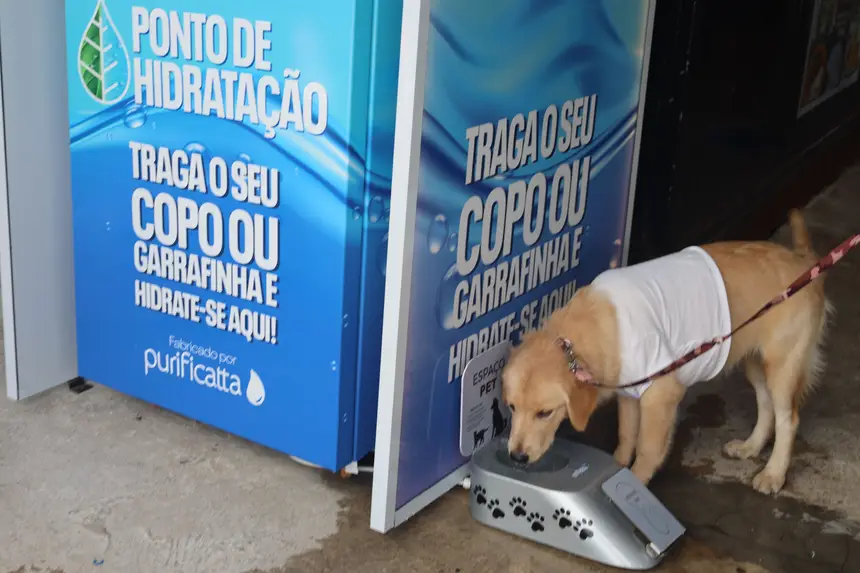 <div class='credito_fotos'>Foto: Bruno Cecim / Ag.Pará | <a href='/midias/2025/originais/20250208105323-GF00022941-F00376271.webp' download><i class='fa-solid fa-download'></i> Download</a></div>