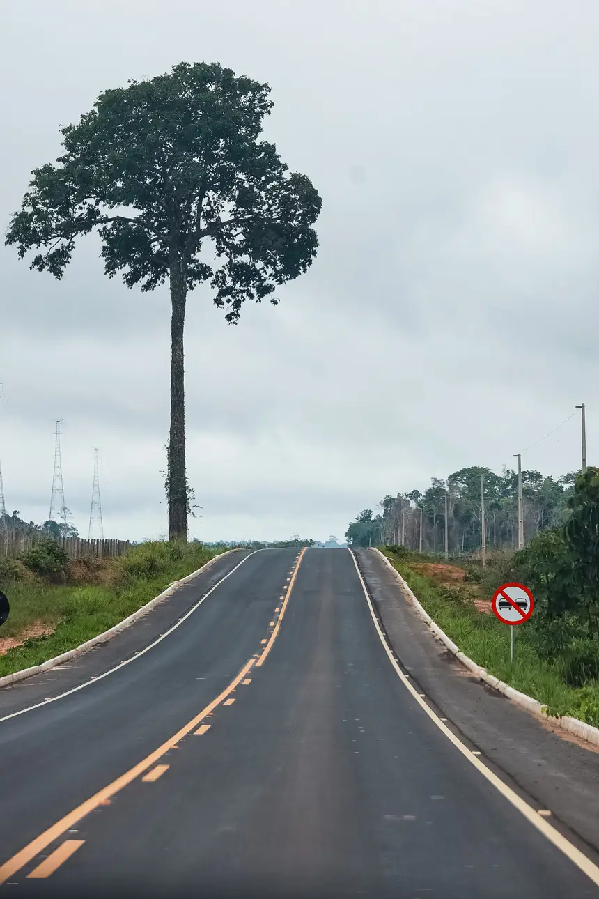  <div class='credito_fotos'>Foto: Bruno Cruz / Agência Pará   |   <a href='/midias/2025/originais/20250215115800-GF00023006-F00378260.webp' download><i class='fa-solid fa-download'></i> Download</a></div>