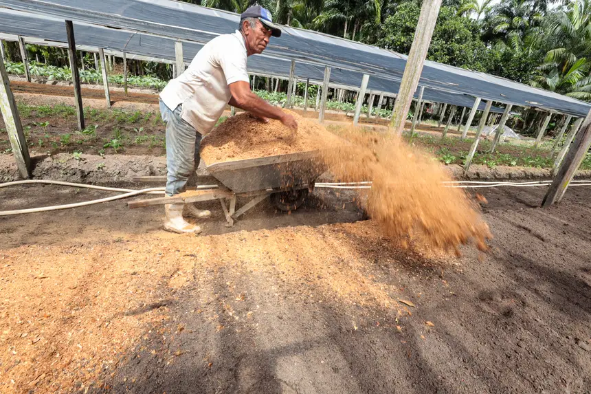  <div class='credito_fotos'>Foto: Alex Ribeiro / Ag. Pará   |   <a href='/midias/2025/originais/20250221113610-GF00023049-F00379527.webp' download><i class='fa-solid fa-download'></i> Download</a></div>