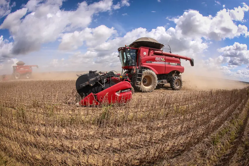 A soja e o milho foram os principais produtos agropecuários exportados, segundo o Boletim Agropecuário