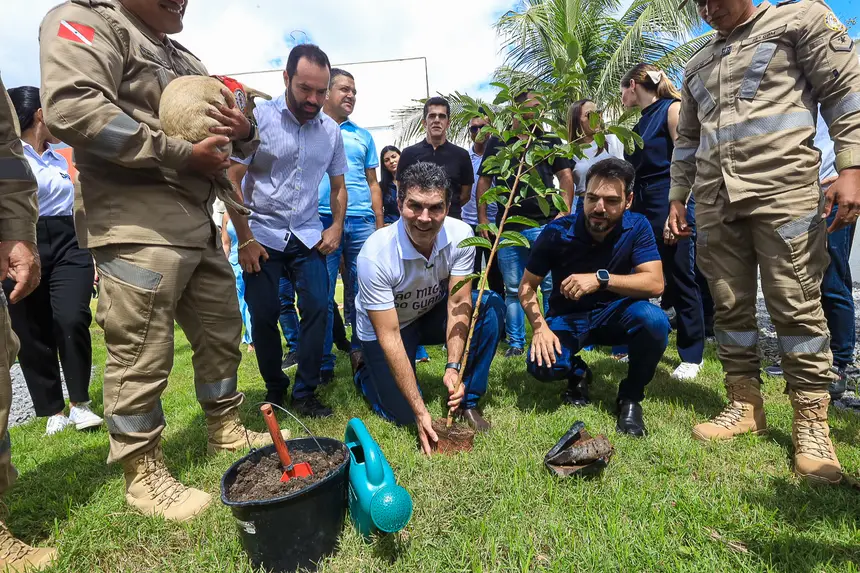  <div class='credito_fotos'>Foto: Alex Ribeiro / Ag. Pará   |   <a href='/midias/2025/originais/20250410151438-GF00023450-F00392266.jpg' download><i class='fa-solid fa-download'></i> Download</a></div>