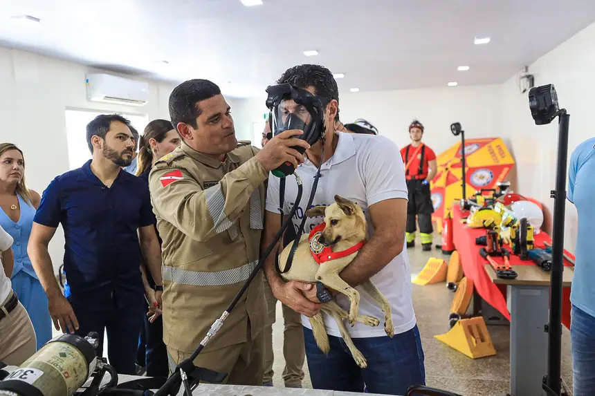  <div class='credito_fotos'>Foto: Alex Ribeiro / Ag. Pará   |   <a href='/midias/2025/originais/20250410151442-GF00023450-F00392269.jpg' download><i class='fa-solid fa-download'></i> Download</a></div>