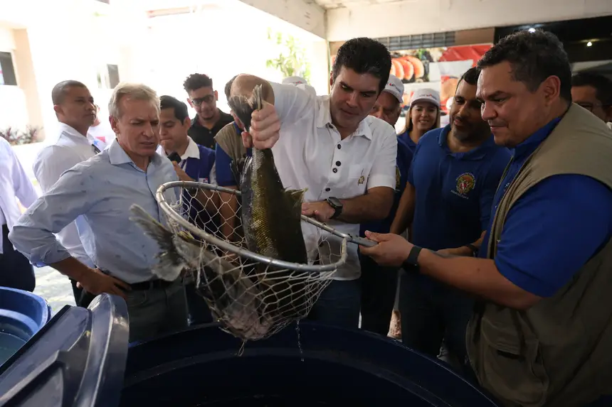  <div class='credito_fotos'>Foto: Marco Santos / Ag. Pará &nbsp;&nbsp;|&nbsp;&nbsp; <a href='/midias/2025/originais/20250417122310-GF00023505-F00395235.jpg' download><i class='fa-solid fa-download'></i> Download</a></div>