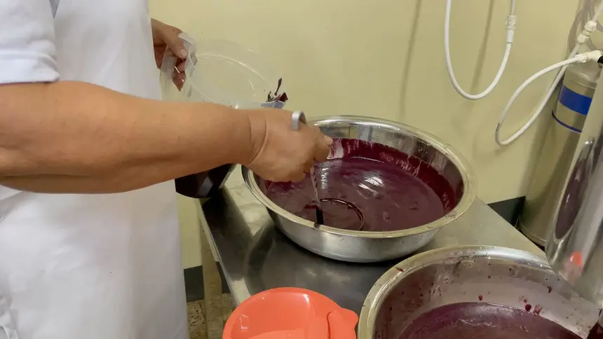 Além das orientações teóricas, os batedores receberam demonstrações práticas  sobre a correta manipulação do açaí