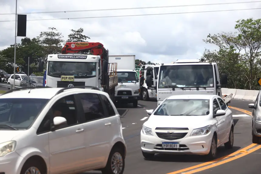  <div class='credito_fotos'>Foto: Rodrigo Pinheiro / Ag.Pará   |   <a href='/midias/2025/originais/20250430131237-GF00023584-F00398059.webp' download><i class='fa-solid fa-download'></i> Download</a></div>
