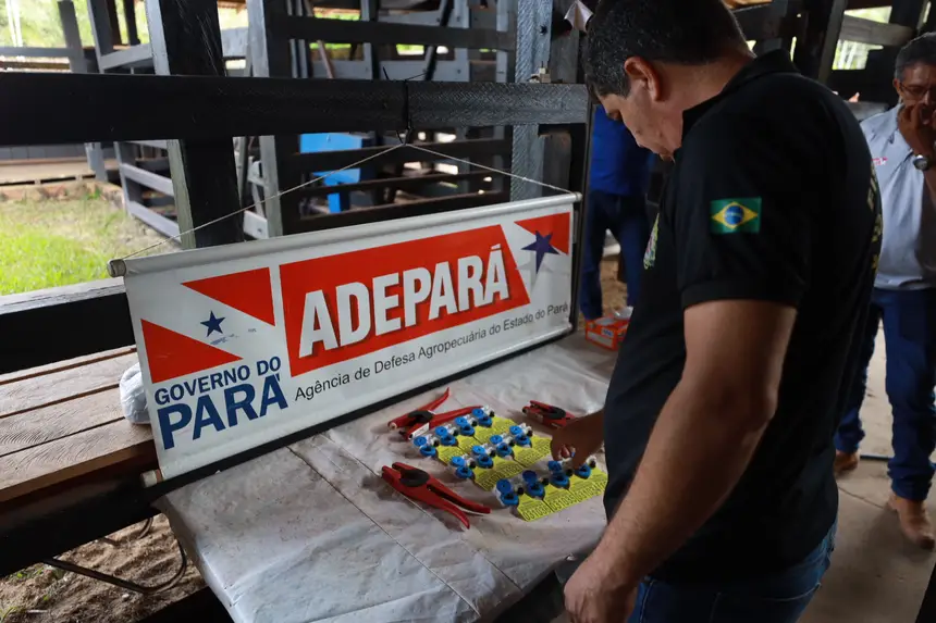 Crédito: Alex Ribeiro / Ag. Pará