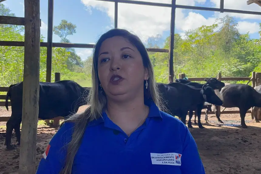 Anelise Ramos, da Sedap, explica que o animal com melhoramento genético produz alta produção de leite