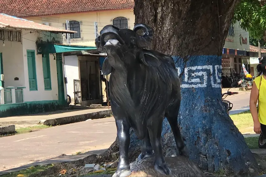 Pelos cantos das ruas de Soure é possível encontrar referências ao búfalo